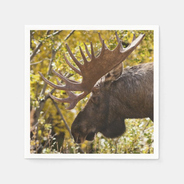 Noble Bull Moose Serviette (Vorderseite)