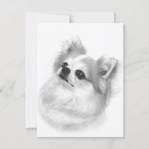 Noble Charm - Handgemalte Chihuahua Art Postkarte