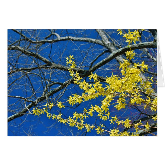 Noch einmal (Vorderseite (Horizontal))