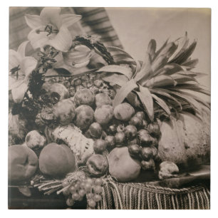 Noch Leben mit Frucht, 1860 (Sepia-Foto) Fliese