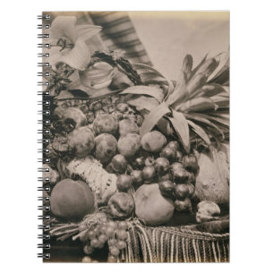 Noch Leben mit Frucht, 1860 (Sepia-Foto) Notizblock