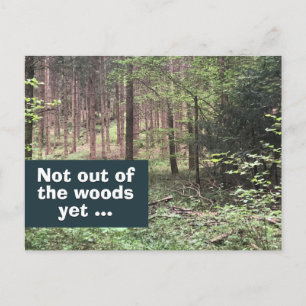 Noch nicht aus dem Wald Quarantäne in der Natur Postkarte