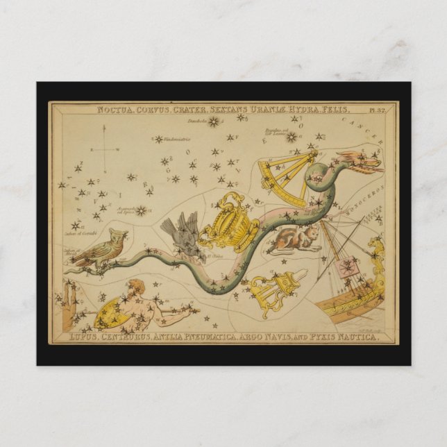 Noctua, Corvus, Hydra, Felis, Lupus, Centaurus, &c Postkarte (Vorderseite)