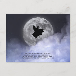 Nocturnal fliegende Schweine Postkarte