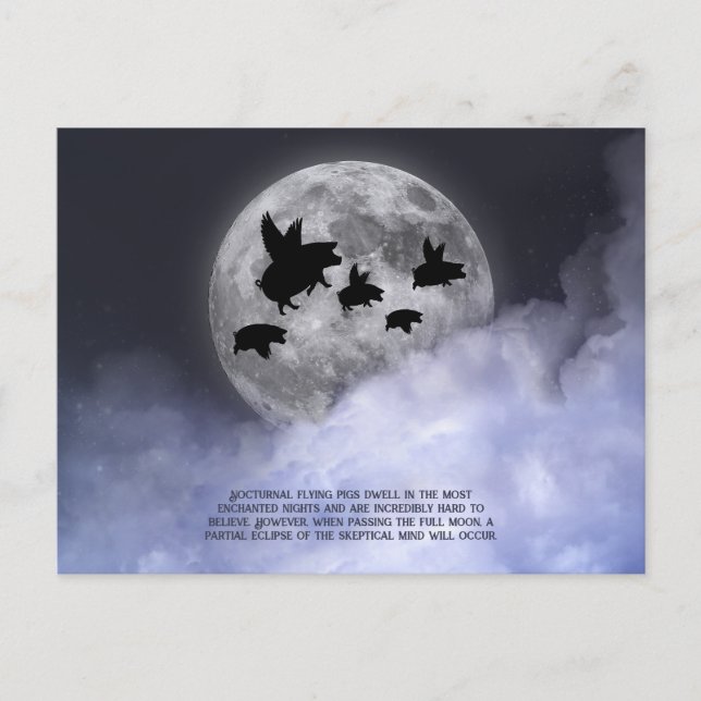 Nocturnal fliegende Schweine Postkarte (Vorderseite)