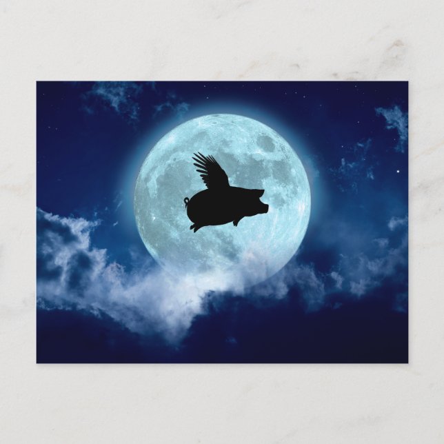 Nocturnal Flying Pig Postkarte (Vorderseite)