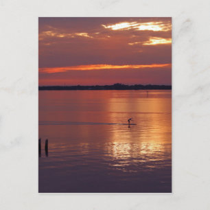 Nocturnal Paddle Boarder Rückkehr Postkarte