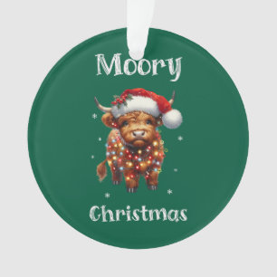 Noël à la vache des Highlands