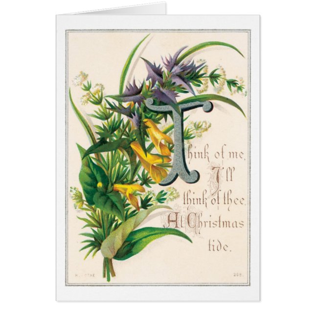 Noël à l'ancienne, Fleur (Devant)