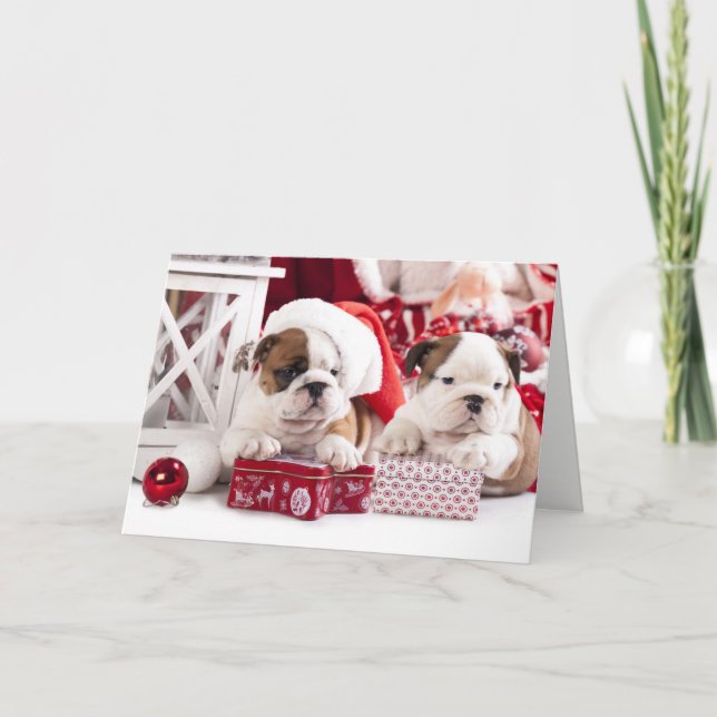 Noël Anglais Bulldogs Bonne carte de vacances (Devant)