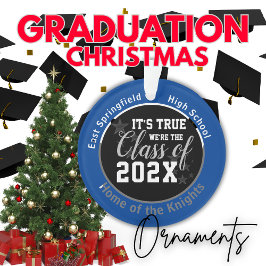 Noël au lycée bleu