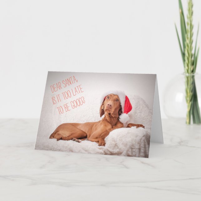 Noël / Carte de Noël "Magyar Vizsla" Cher Père Noë (Devant)