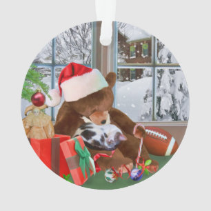Noël, chat de sommeil, ours de nounours