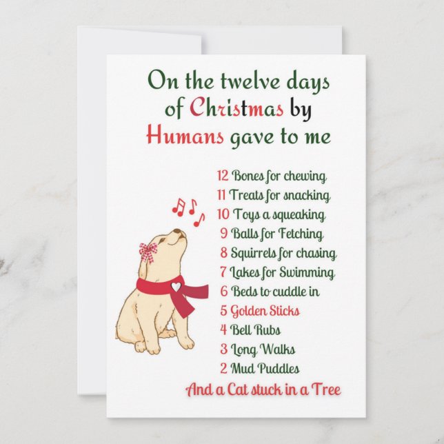 Noël chien, Carte de vacances chien (Devant)