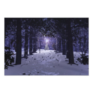Noël dans la copie de photo de pins
