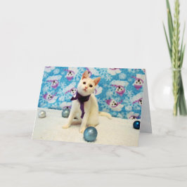 Noël d'Audrey - Chat / Carte de vacances Kitten