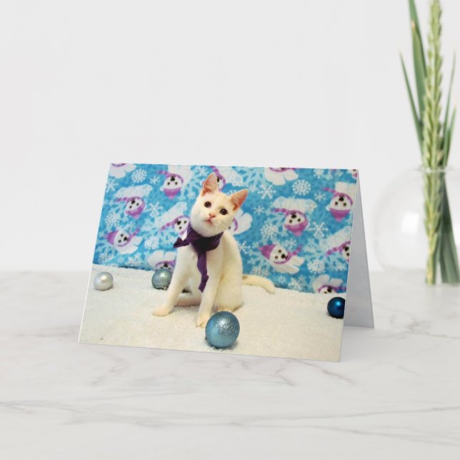 Noël d'Audrey - Chat / Carte de vacances Kitten (Devant)