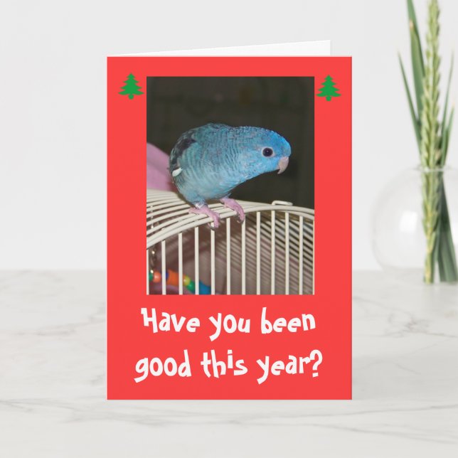 Noël de carte de Poopy de vacances de vacances (Devant)