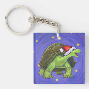 Noël de la tortue nocturne étoilée