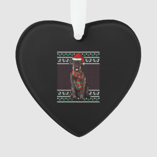Noël Géant Schnauzer Chien Santa Hat Noël laid