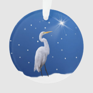 Noël, grand oiseau de héron, étoile, religieuse