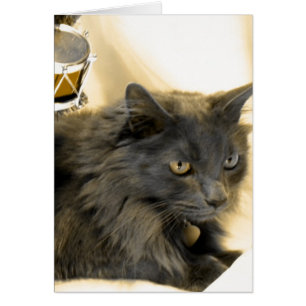 Noël gris Kitty IIII