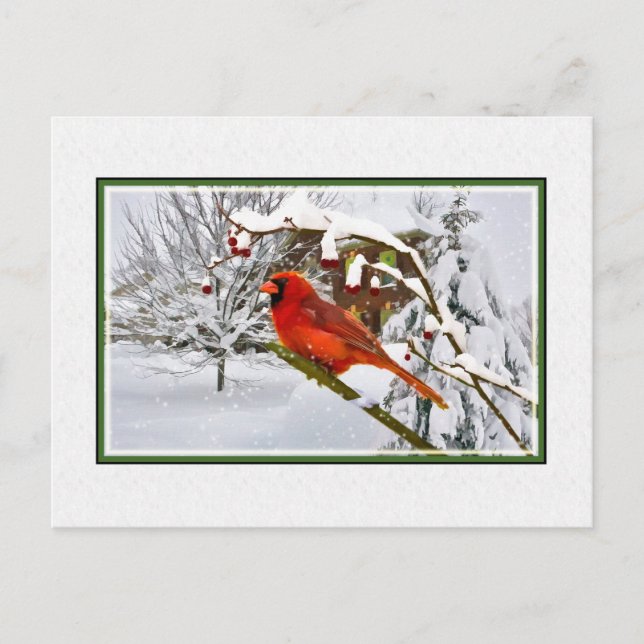 Noël, Hiver, Oiseau cardinal, Neige, Carte postale (Devant)