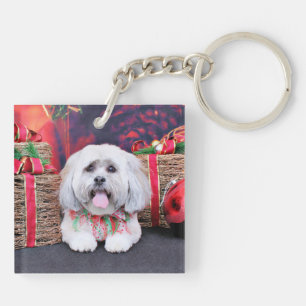 Noël - Lhasa Apso - solo