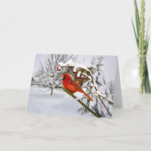 Noël, oiseau cardinal, neige, carte