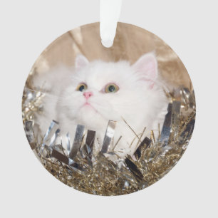 Noël persan blanc de chat de minou