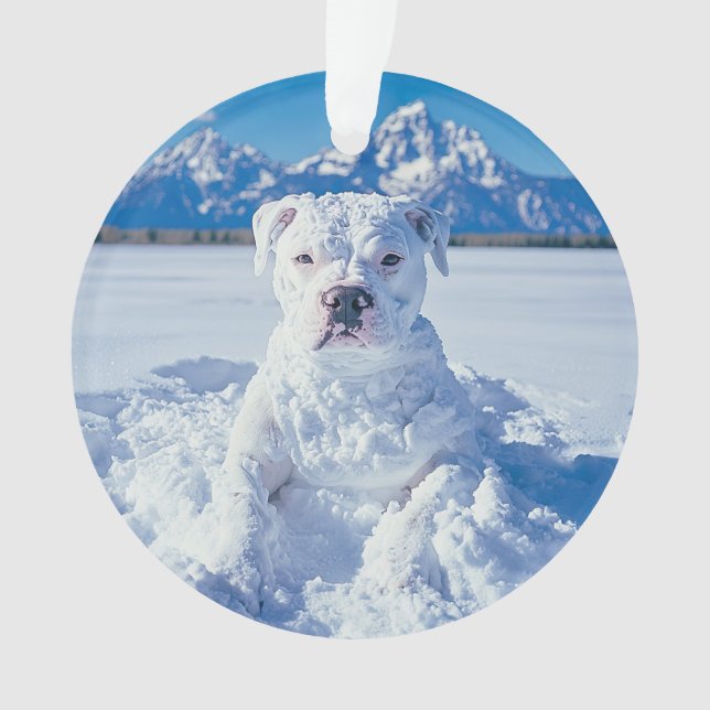 Noël Pitbull Chien Snowman (devant)