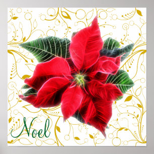 Noel Poinsettia Poster