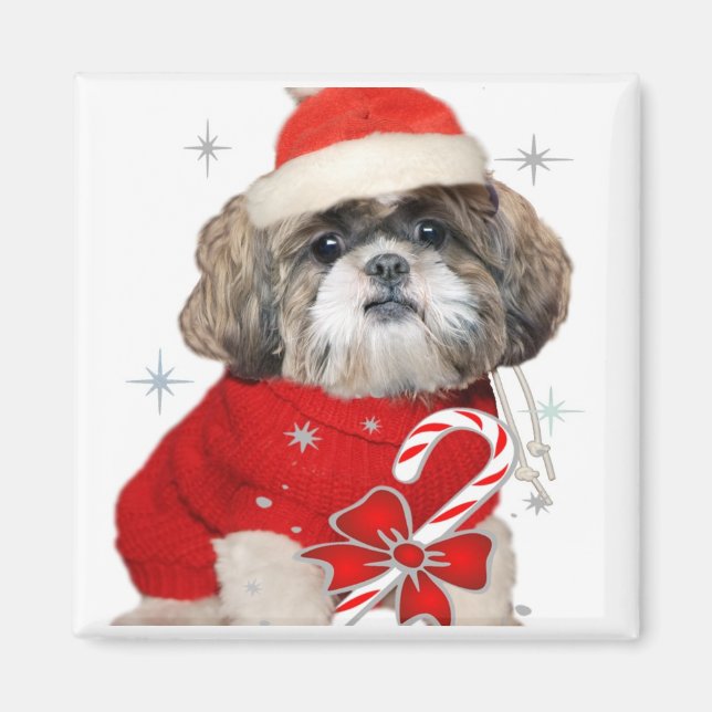 Noël Shih Tzu Magnets (Devant)
