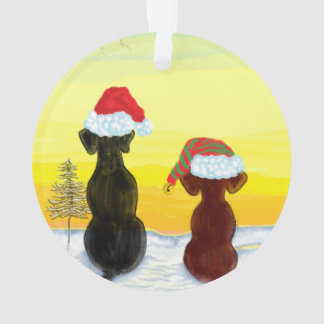 Noël springador