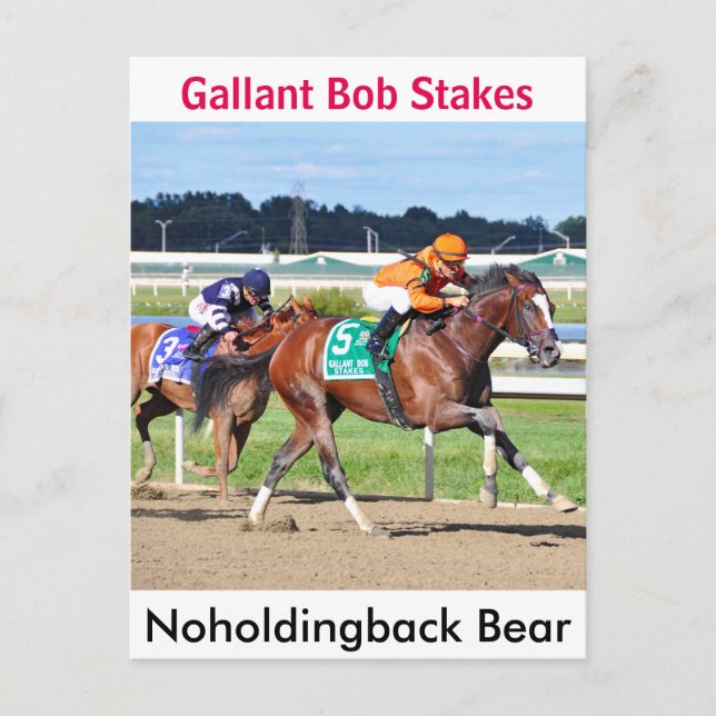Noholdingback Bear - Gallery Bob Postkarte (Vorderseite)