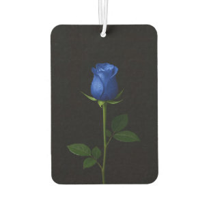 Noir 4 Luxe Désodorisants pour voiture Rose Bleu M