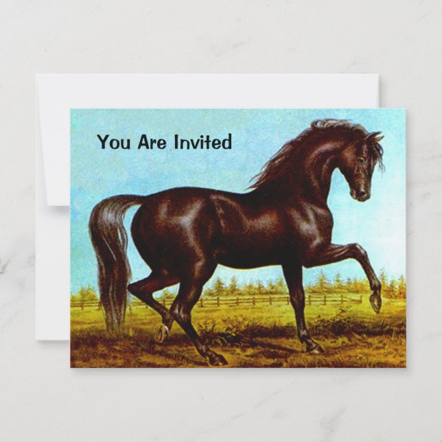 NOIR BEAUTY HORSE ANNIVERSAIRE INVITATION (Devant)