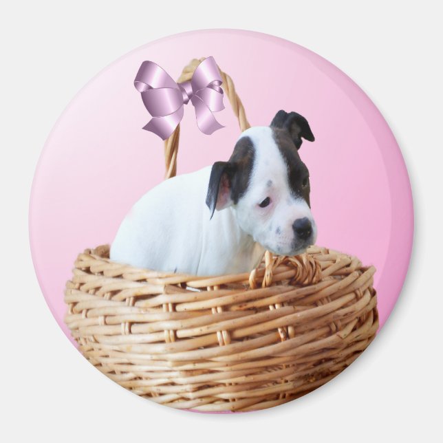 Noir Blanc Staffordshire Chiot, Magnet (Devant)