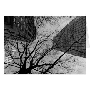 Noir City