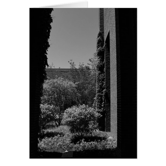Noir City (Vorne)