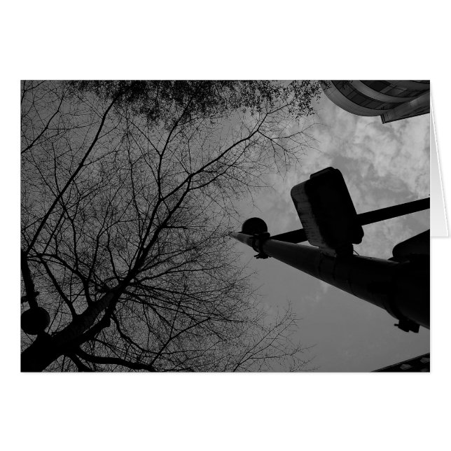 Noir City (Devant horizontal)