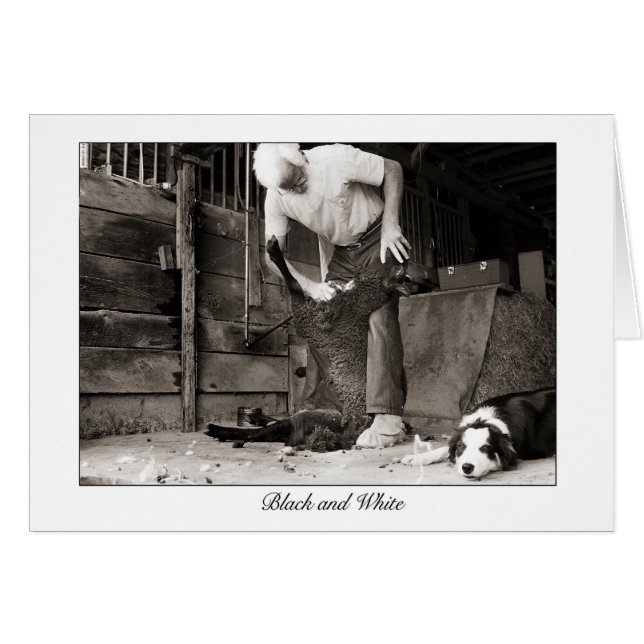 noir et blanc (Devant horizontal)