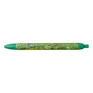 Noir Grenouilles néerlandaises entourées par le stylo