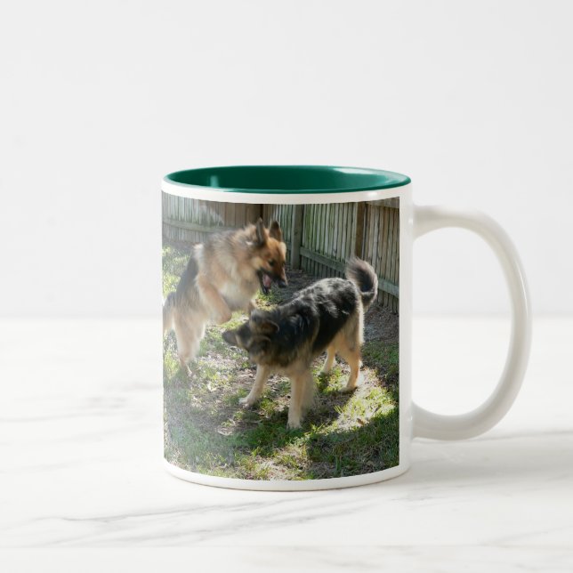 Noir jeu à deux tons de chien de tasse de 11 onces (Droit)