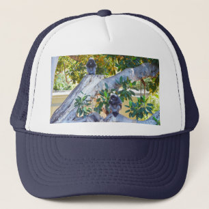 Noir Langur Singes Manger, Casquette de camions