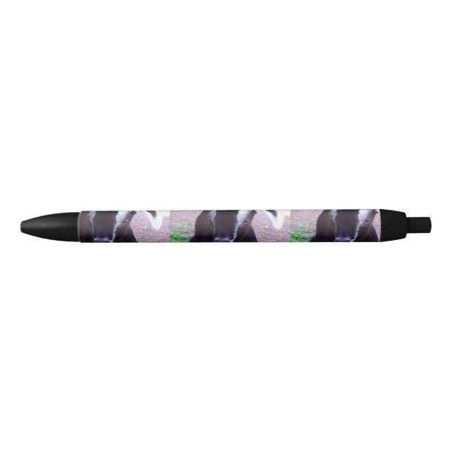 Noir Stylo de chèvre de bébé (Devant)