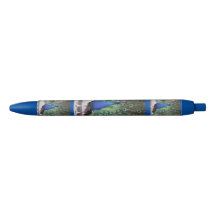 Stylo Peacock