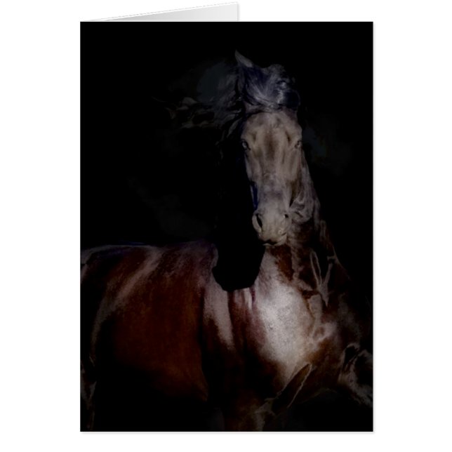 Noir sur le noir (Devant)