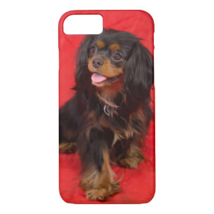 Noir Tan Cavalier King Charles coque iphone