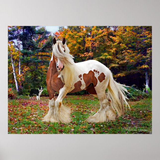 "Nokomis" Poster (Vorne)